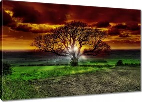 Vászonkép 120x80 Varázslatos fa