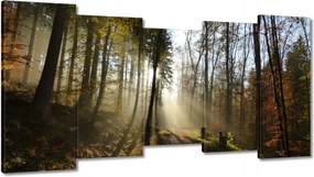 Képek 150x80 Napfelkelte az erdőben