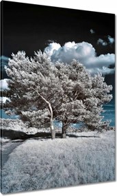 Festmények 70x100 Fa