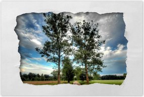 Poszterek 120x80 Vidéki út