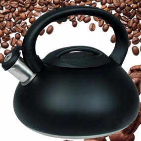 Indukciós Vízforraló Gáz Acél Fekete Antek Űrtartalom 3,0L Koko Síppal