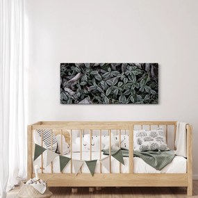 Kép - Fagyasztott növények (120x50 cm)
