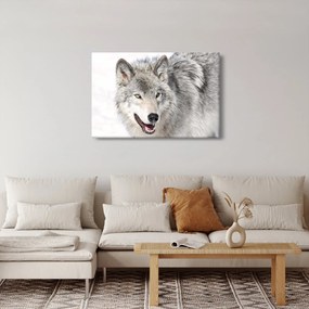 Kép - Farkas a természetben (90x60 cm)