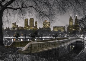 Poszter 42x29,7cm Központi park Manhattan panorámával, Assaf Frank