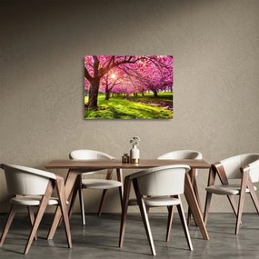 A virágzó cseresznye képe, Hurd Park, Dover, New Jersey (üvegen) (70x50 cm)