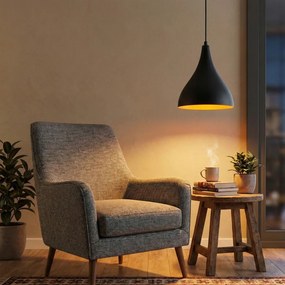 Berceste N-1395 fekete vas függőlámpa, Ø22 cm