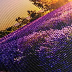 A levendula mező képe, Provence (90x60 cm)