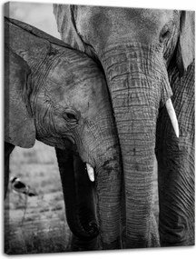 Vászonkép Fekete-fehér Elefántpár Natura 30x40 cm Ideális ajándék