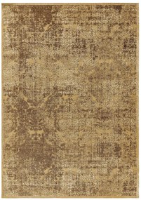 Lapos szőttes szőnyeg Frencie Brown 240x340 cm
