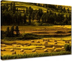 Vászonkép 40x30 Tájkép Látvány