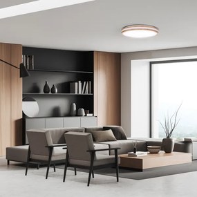 Solight WO8007 - LED dimmelhető lámpa WOODY LED/48W/230V 3000-6500K, 38 cm, DO