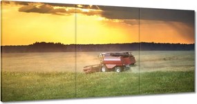 Vászonkép 180x90 Kombájn kaszálja az arany gabonát