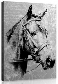 Vászonkép, Ló portré 60x80 cm méretben