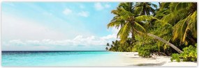 Poszterek 200x66 Trópusok Tájkép Pálmafák