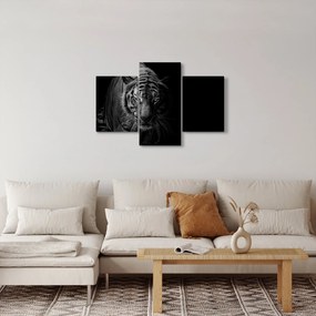 Egy vadtigris képe (90x60 cm)