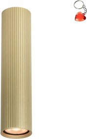 Falra szerelhető spot lámpatest Rilok CLN-83920-L-GD Italux