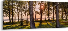 Fák a tó mellett képe (120x50 cm)