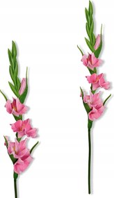 Rózsaszín Kard Habszivacs ág 55 cm Művirág habszivacs Élő