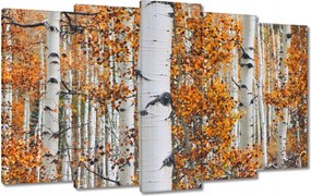 Vászonkép 100x60 Őszi táj Nyírfa