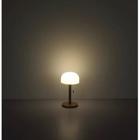 Globo 21016CH - NORMAN LED asztali lámpa 1,5W 3000-6000K barna