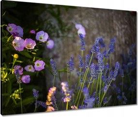 Vászonkép 80x60 Levendula