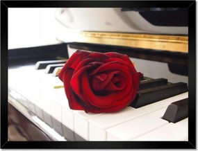 Poszterek keretben 40x30 Különböző zongora