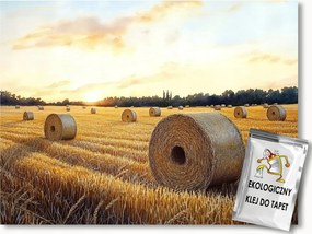 Fotótapéta Flizelina Tájkép Mező Gabona Aratás Szalma Tekercsek 254x184 ragasztó