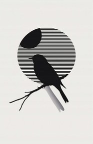 Poszter 53x81cm Kontraszt Karcsúság