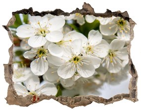 3d-s lyuk vizuális effektusok matrica Cseresznye virágok nd-k-85335086
