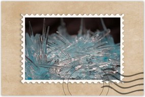 Poszterek 90x60 Makrofotó MacroFoto