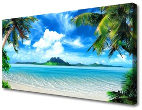 Vászonkép Trópusi pálma Sea Island 100x50 cm