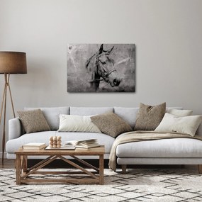 Kép - Egy ló portréja (70x50 cm)