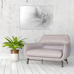 Kép - Delicate Lily (70x50 cm)