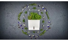 Cole&Mason - Tartály frissen vágott fűszernövények tárolására