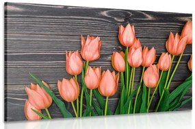 Kép narancssárga tulipánokkal fa lapon