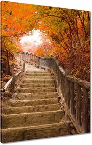 Vászonkép 60x80 Őszi séta Lépcsők