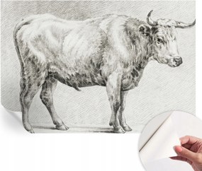 Öntapadós Dekoratív Fotótapéta Hálószobába Bika ceruza 152x104 cm