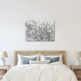 Üveg kép - Hideg tél (70x50 cm)