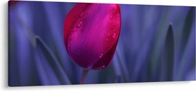 Tulipán bimbó képe (120x50 cm)