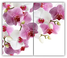 Üveg vágódeszka Orchidea 60x52 cm