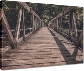Vászonkép 40x30 Fa híd