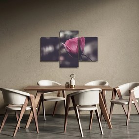 Kép - Rózsa virág részlete (90x60 cm)