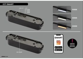 Rabalux 70123-LED Dimmelhető mennyezeti lámpa 1 fázisú sínrendszerhez LiTrack 12W/24V 22 cm