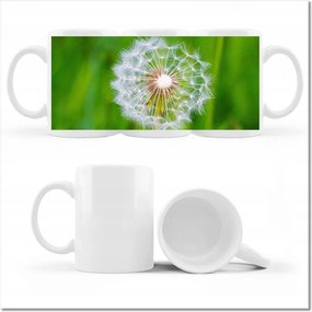 Pitypang fényképes bögre Virág Virágok