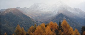 Kép - Kilátás a hegyre (120x50 cm)