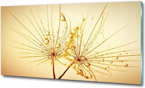 Fotó üvegkép Vörös tulipánok 100x70