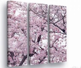 Vászonkép 90x100 Sakura virágzás tavasz rózsaszín fa természet nyugalom harmónia