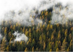 Egy erdő képe a felhők között (70x50 cm)