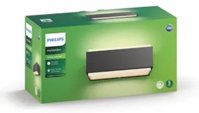 Philips 16487/93/P0 - Szabályozható kültéri lámpa STRATOSPHERE 2xLED/4,5W IP44