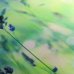Kép - Rét részlete (120x50 cm)